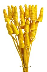 Přírodní dekorace cane cone mini dl. 40cm - 25ks - žlutá