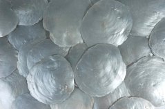 Přírodní dekorace capiz painted 200g