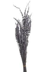 Přírodní preparovaná levandule 70g LT.PURPLE