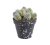 Umělý mini kaktus v květináči H9cm