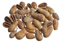 Mike Fruit sušené plody 5–6 cm – 500 g