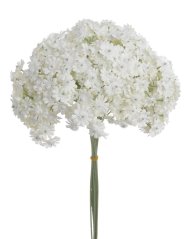 Svazek kvetoucí gypsophila 10ks, dl. 34cm