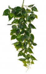 Umělá rostlina  epipremnum  dl. 98cm - převislé