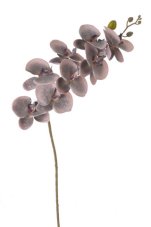 Lata umělých orchidejí, květ Ø10cm/dl.90cm