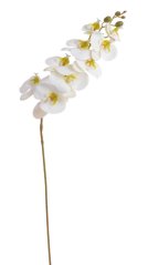 Umělá květina lata orchideje dl. 96cm