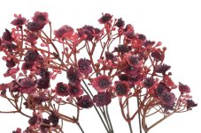 Umělá gypsophila – nevěstin závoj 70 cm