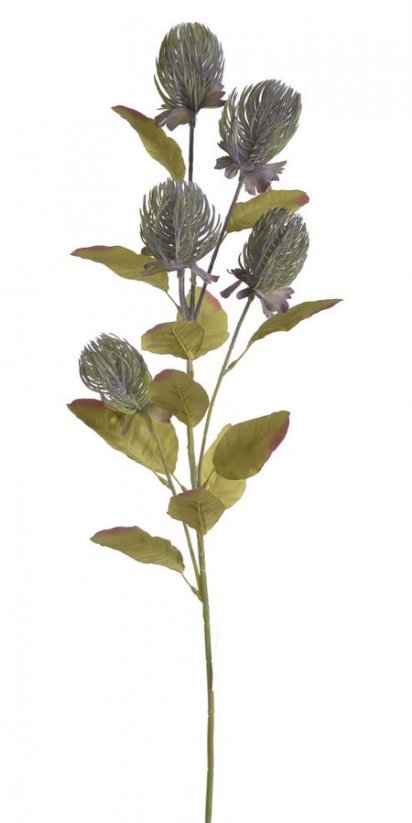 Umělá rozkvetlá banksia s 5 květy, květ Ø7cm/dl.85cm