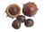 Umělé kaštany mix 5cmL x 4,5cmW x 4,5cmH, a 3cmL x 2,5cmW x 3cmH - 5ks
