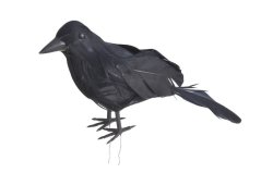 Dekorace vrána z peří vel. 18cm