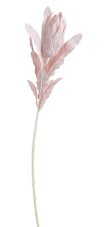 Umělá kvetoucí protea na stonku s listy, květ 11cm/dl.70cm