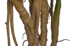 Dekorace umělý monstera v květináči Ø 15cm, celkem 210cmH