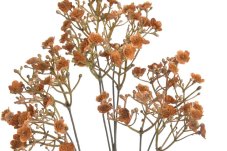 Umělá gypsophila – nevěstin závoj 70 cm