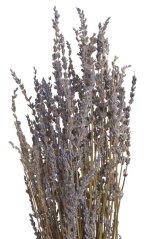 Svazek přírodní sušené levandule 100g LT.PURPLE