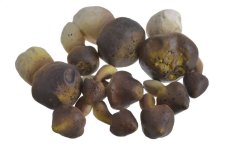 Mix umělých hub v síťce, velikost  4,5-9cm - 10ks
