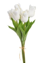 Tulipán papouščí 5 ks ve svazku s listy, 32 cm, barva 20