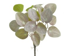 Trs umělých listů Pilea peperomioides na stoncích list 6,5 - dl.17 cm, 29 cm včetně zápichu