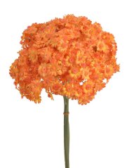 Svazek kvetoucí gypsophila 10ks, dl. 34cm