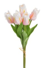 Tulipán papouščí 5 ks ve svazku s listy, 32 cm, barva 19