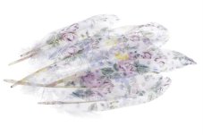 Přírodní peří s potiskem dl.18-20cm - 10ks