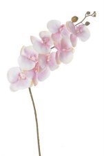 Lata umělých orchidejí, květ Ø10cm/dl.90cm