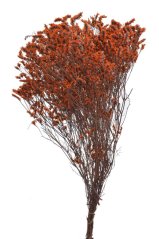 Svazek preparovaného Crystal Grass 120g ORANGE
