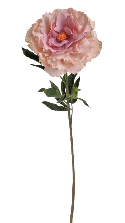 Květ rozkvetlé pivoňky na dlouhém stonku dl. 96cm_5308