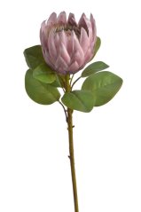 Umělá kvetoucí protea Ø15cm/ dl.67 cm