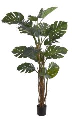 Dekorace umělý monstera v květináči Ø 15cm, celkem 210cmH