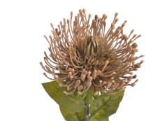Umělá rostlina kvetoucí bodlák Leucospermum 12cm/73cm