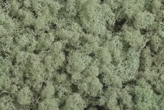 Preparovaný mech island moss 500g GREY GREEN Z141