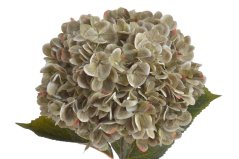 Umělá hortenzie s listy, hlava Ø 20cm, dl.80cm