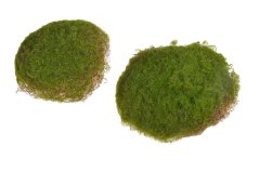 Umělé mechové kameny Ø 11-14cm - 6ks