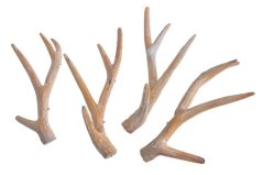 Vánoční dekorace umělé parohy dl. 22cm