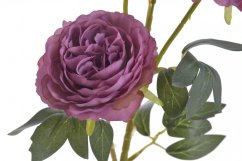 Umělá pivoňka s 2květy a poupětem, květ Ø7cm/ celková dl.67cm