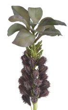 Umělý kvetoucí sukulent H25cm, zápich celkem 85 cm