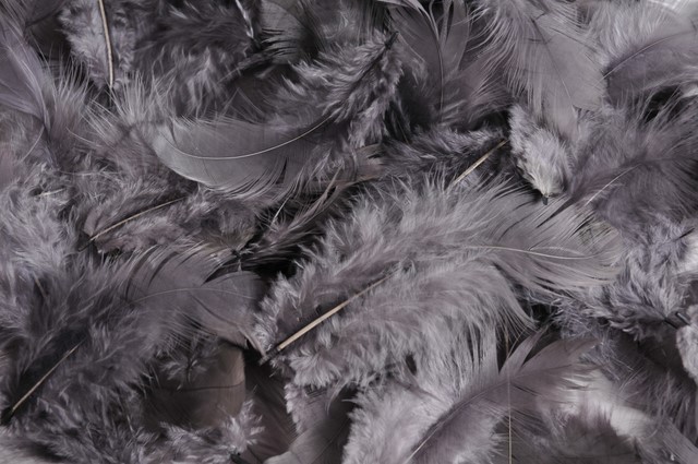 Přírodní barvené peří 7 - 12 cm, GREY_409C