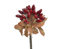 Svazek větviček divoké růže s plody dl. 22 cm - 3ks