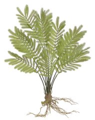Trs umělého kapradí s kořenovým balem dl. 49cm