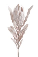 Umělá kvetoucí protea na stonku s listy, květ 11cm/dl.70cm