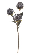 Umělý kvetoucí Leucospermum 3 květy dl. 68cm
