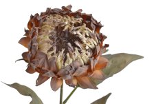 Umělý květ protea na stonku, květ 10cm/dl.72cm