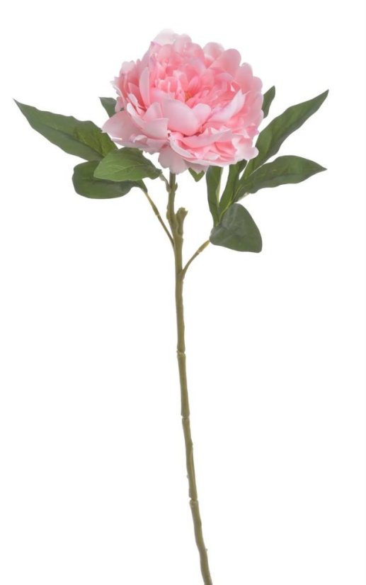 Umělá pivoňka na stonku, hlavička Ø12cm/dl.56cm