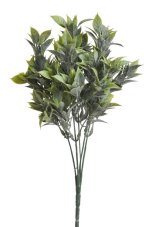 Ruskus zápich 30 cm, 5 větviček, barva 14