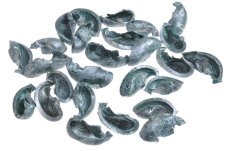 Vánoční přírodní dekorace Ear Pod 4-5cm - 200g green