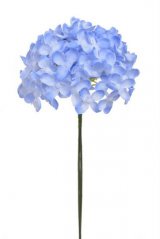 Umělý divoký bez - svazek 6 květů dl. 22 cm