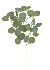 Umělá větvička Eukalyptus populus dl. 61cm
