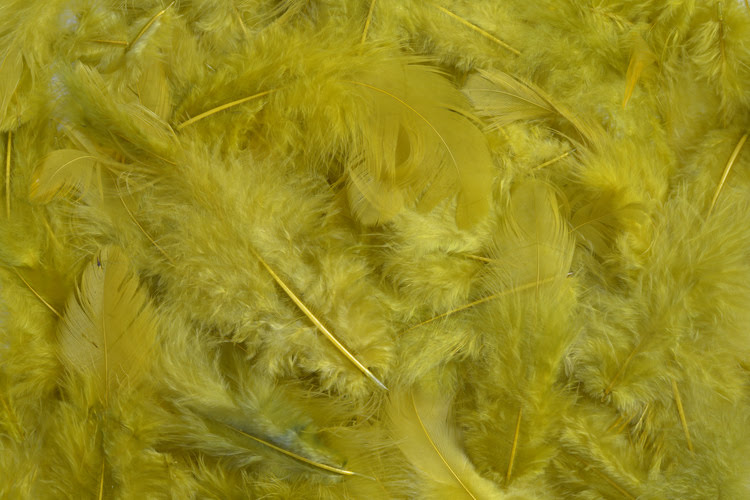 Přírodní barvené peří 7 - 12 cm, LT.OLIV GR_398