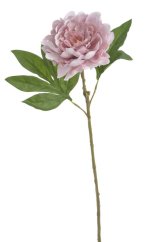 Umělá pivoňka na stonku, hlavička Ø12cm/dl.56cm