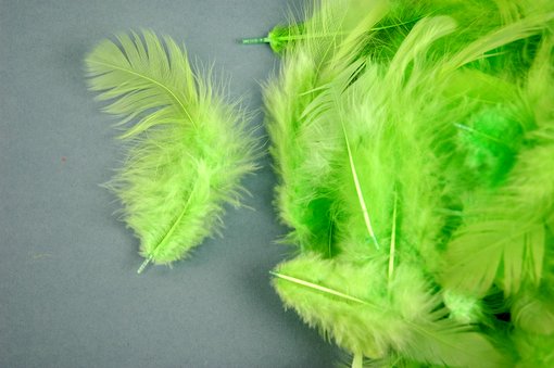 Přírodní barvené peří 7 - 12 cm APPLE GR