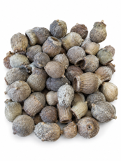 Bellgum sušené 2,5–3,5 cm – 250 g